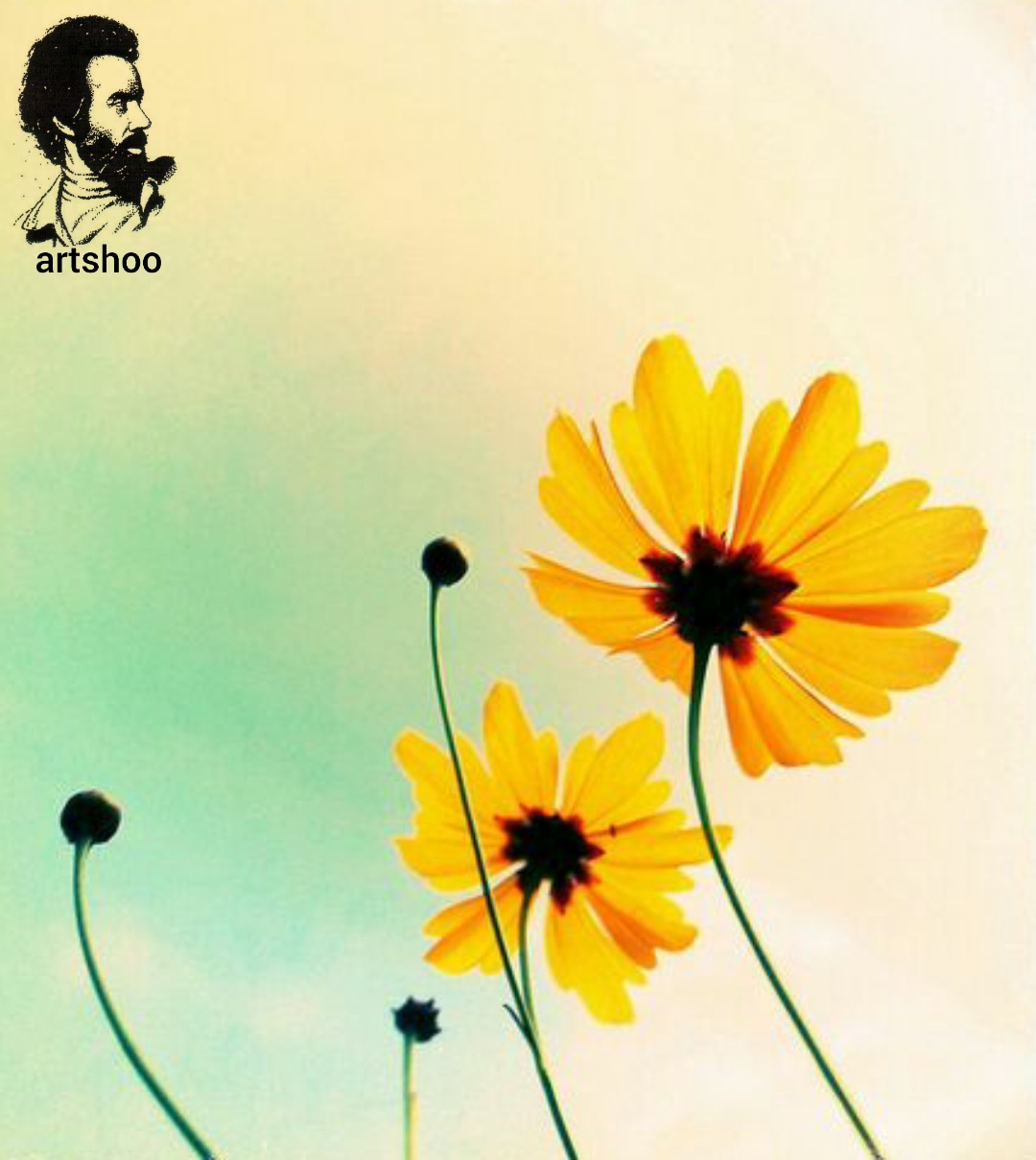 گل اورژینال رنگ روغن